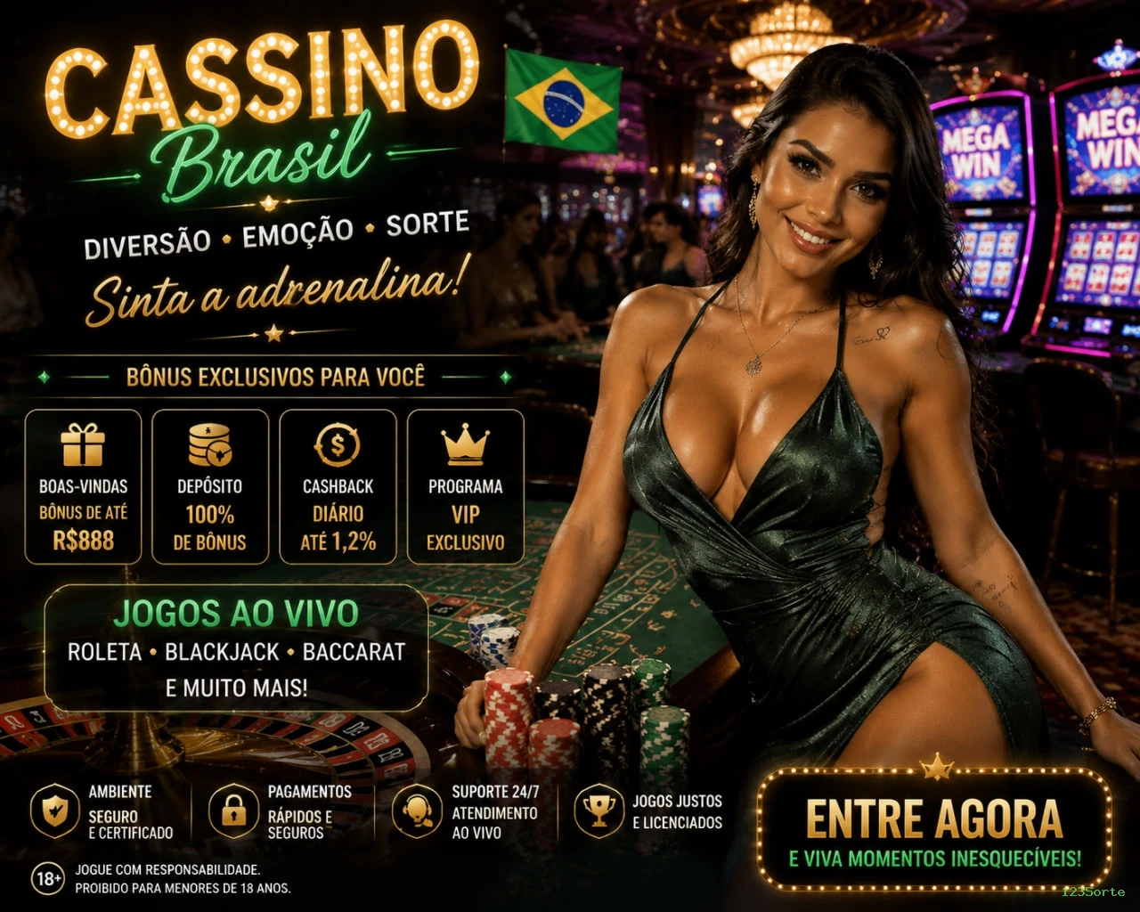 Suporte Login